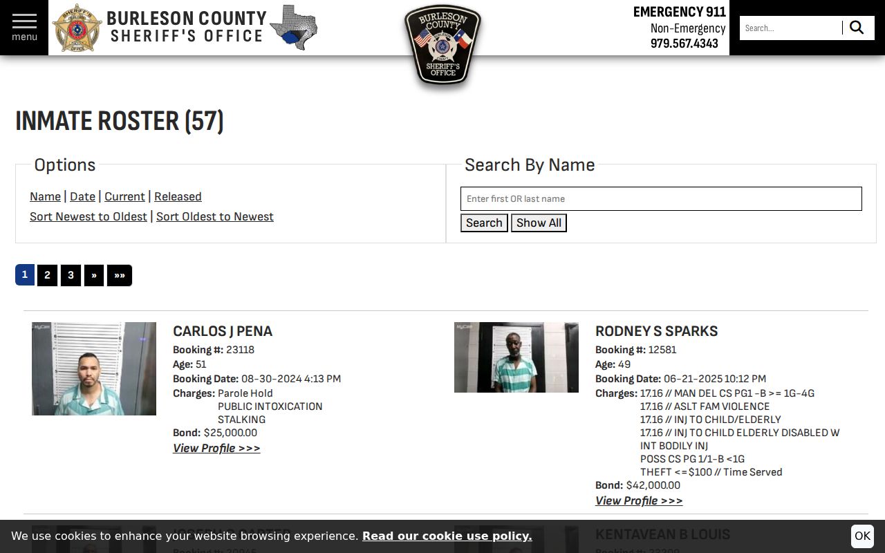 Burleson County criminal history jail roster name search